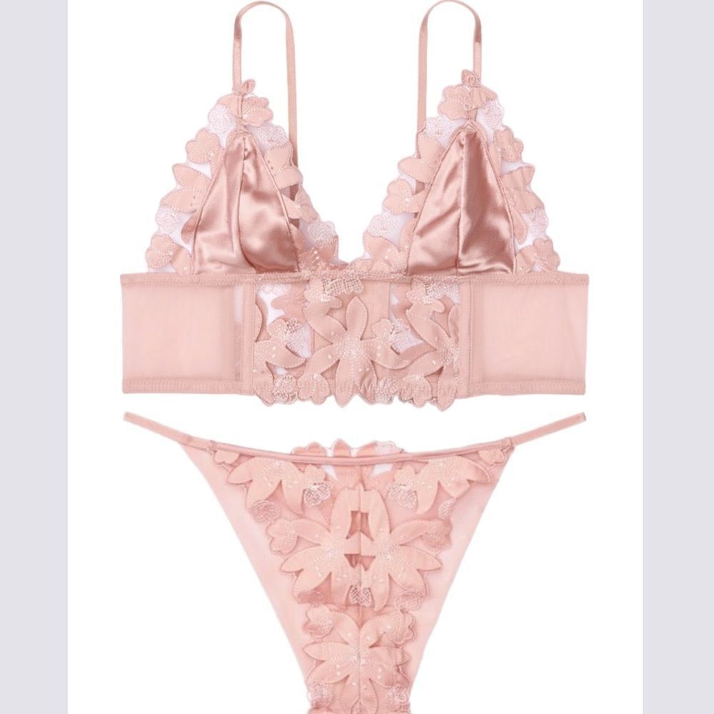 Victoria's Secret Luxe Lingerie Embroidered bralette & Brazilian Slip Panty Set